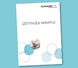 Göttingen Minipigs