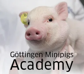 Göttingen Minipigs Academy
